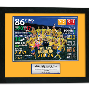  Mansfield Town FC Promotion 2024 Ltd Edition Personalised Framed Print Player Montage & Season Stats