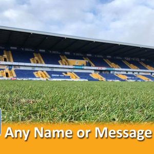 Aluminium Wall Art - Stadium