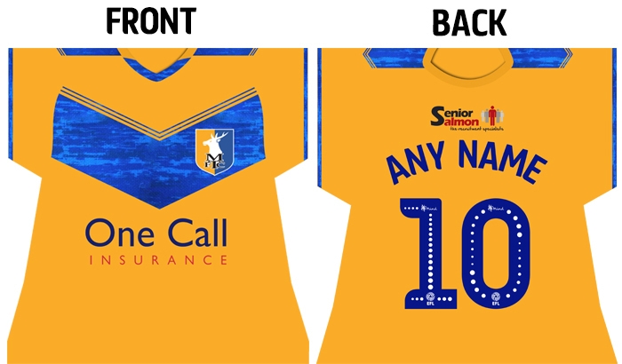 Shirt Cushion- Home Shirt 2019-20 - Image 2